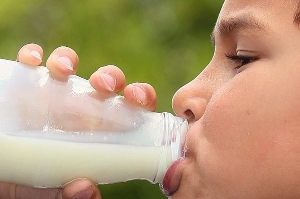 sữa cho trẻ em béo phì